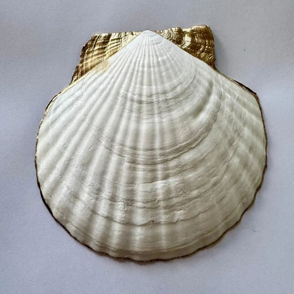 Nautical Lighthouse Seashell Trinket Dish